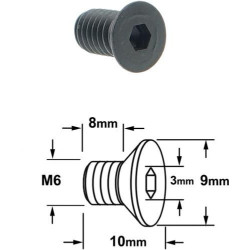 VIS M6 X 8 X 10