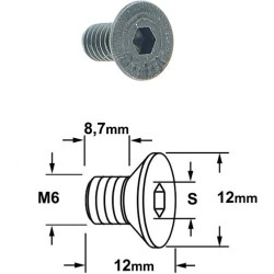 VIS M6 X 8.7 X 12