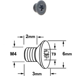 VIS TORX T9 - M4 X 2 X 3