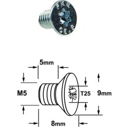 VIS TORX T25 - M5 X 5 X 8