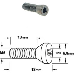 VIS TORX T15 - M5 X 13 X 18