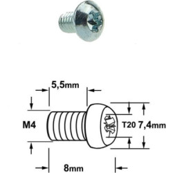 VIS TORX T20 - M4 X 5.5 X 8