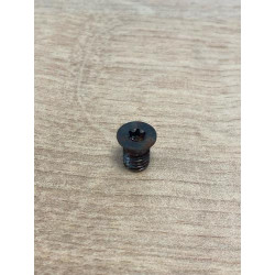 Vis torx T15 ELBE VI119704...