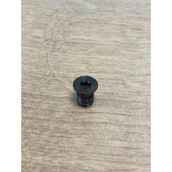 Vis torx T20 ELBE VI119705...